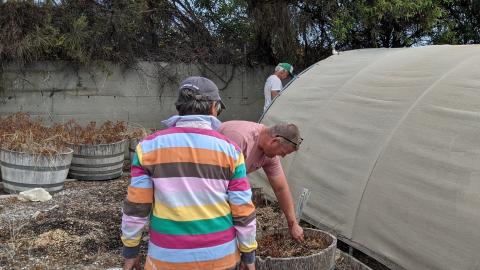 three people working outside the greenhouse