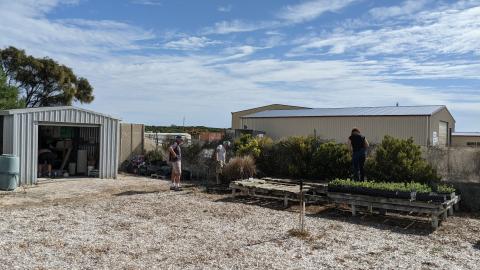 volunteers working outside the nursery