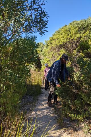 man trimming bush on the trail