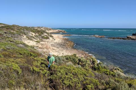 man in the bush by the beach