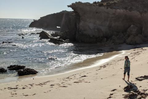 woman looking for trash on the beach