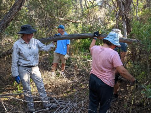 vounteers in the bush