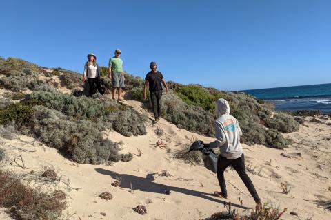 Volunteers looking for trash