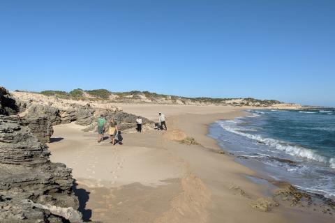 beautiful view of the beach