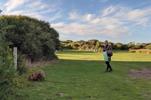 woman volunteer with wombat