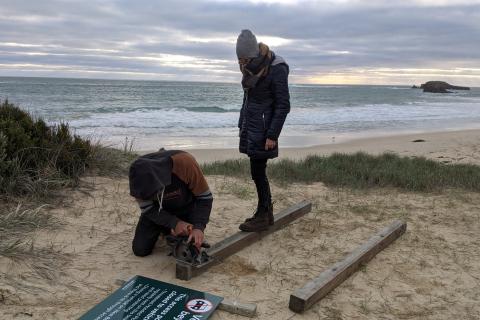 volunteers  at work by the beach