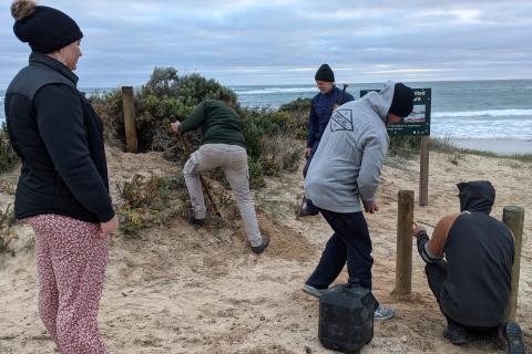 volunteers  at work by the beach