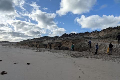 vounteers cleaning beach