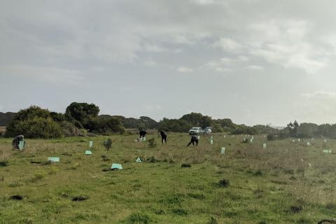 volunteers working