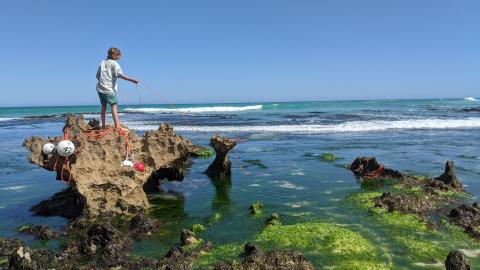 teen untangling fishing ropes