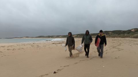 volunteers in a windy rainy beach