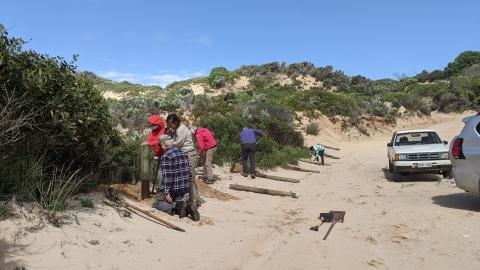 volunters on the beach