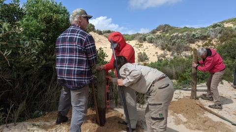 volunters on the beach