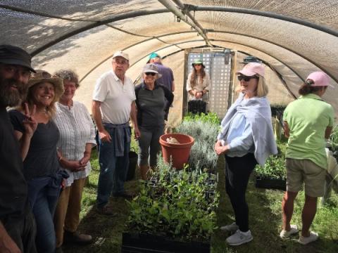 Nursery crew at work