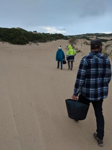 walking the coastal track