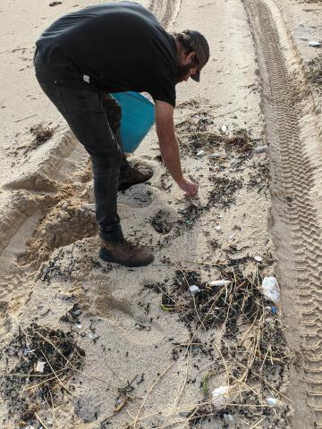 Beach clean-up crew