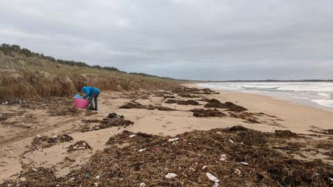 boy picking trash