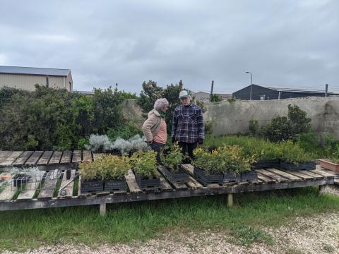 discussions at the nursery