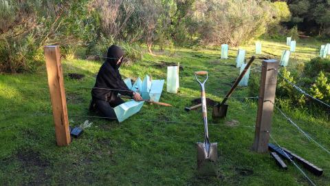 Volunteer planting trees