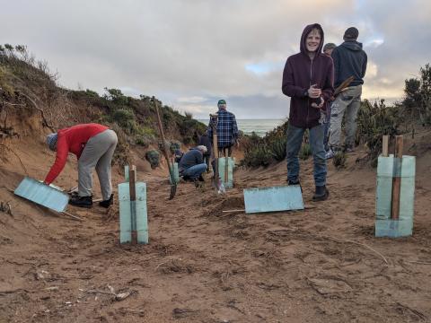 Volunteer planting trees