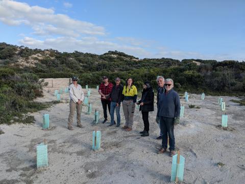 Volunteer planting trees