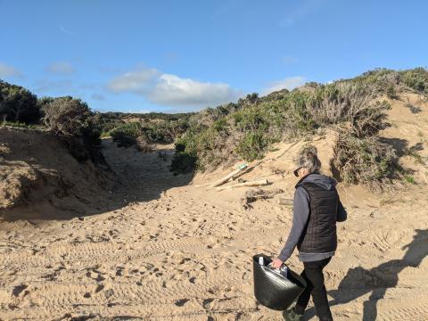 Track and beach clean-up