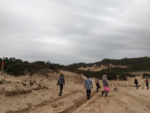 Beach cleanup