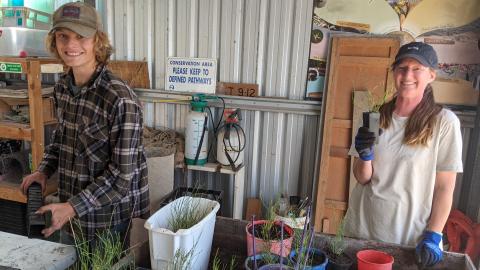 volunteers in the nursery