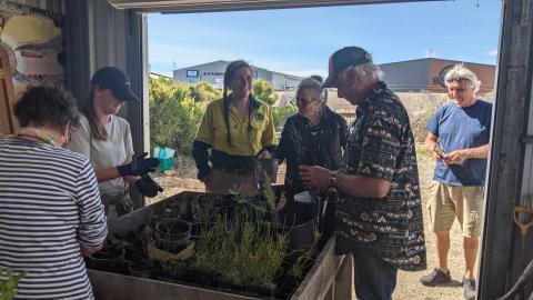 Volunteers caring for seedlings