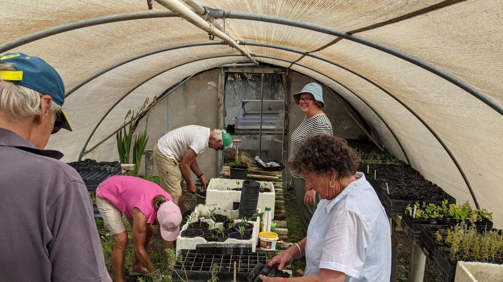 group of people working inside the greenhouse