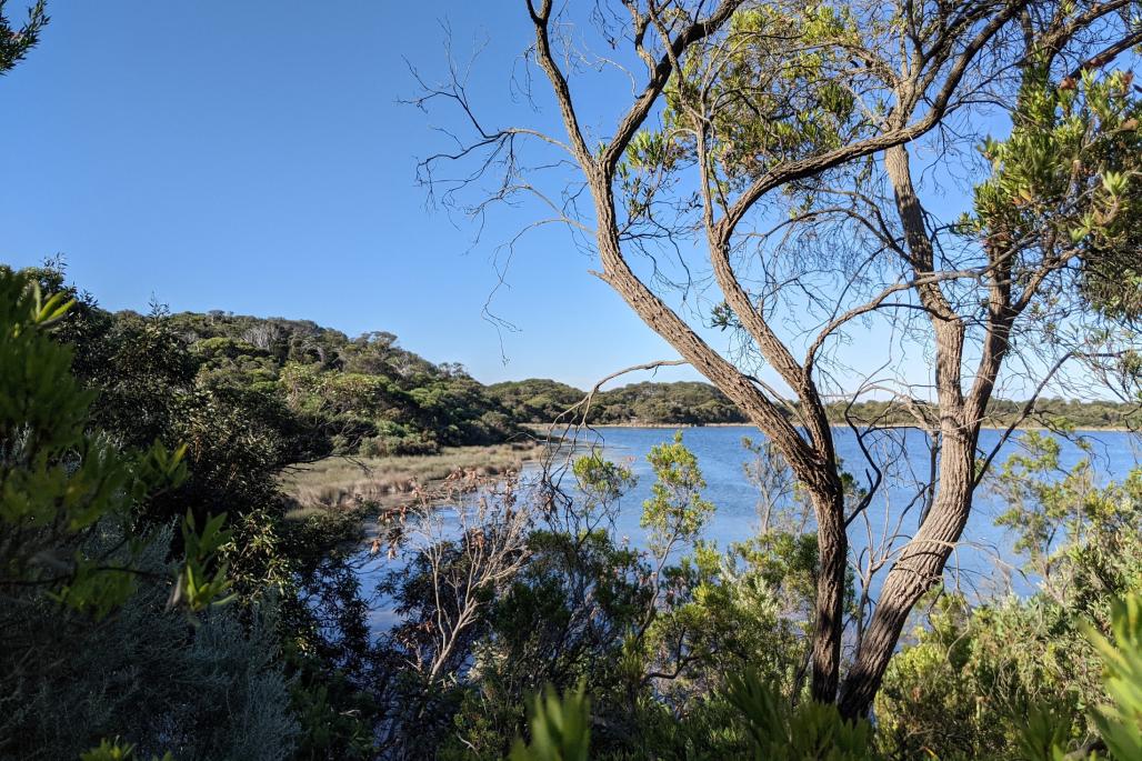 view of the lake