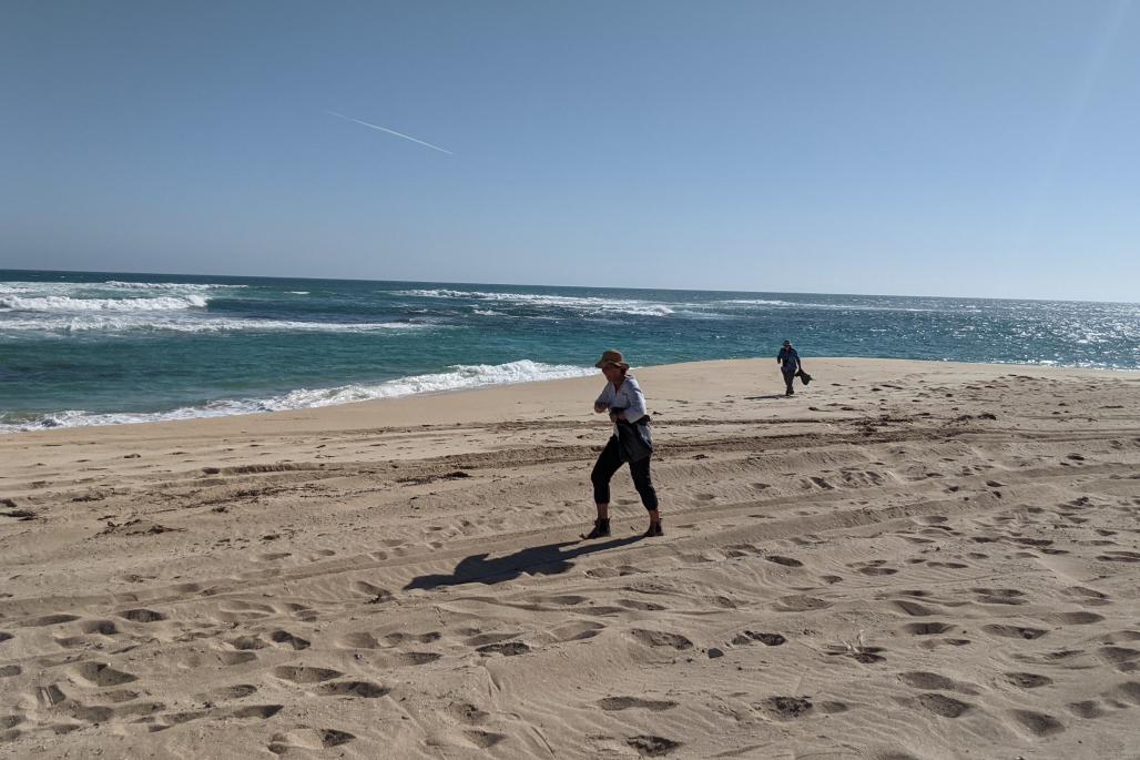 women looking for trash on the beach