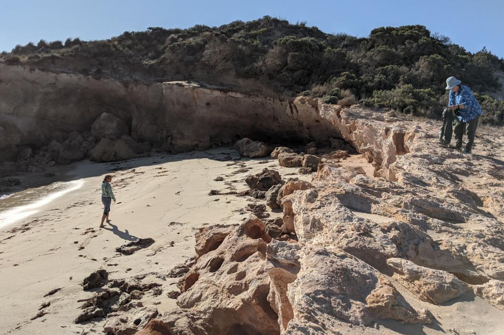 women looking for trash on the beach