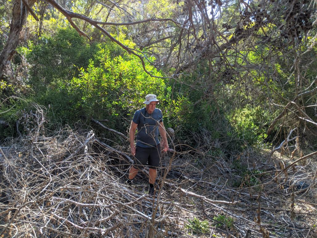 man in the bush