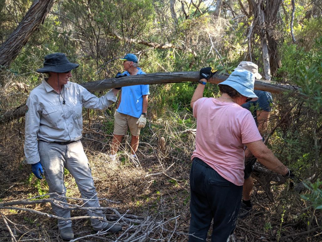 vounteers in the bush