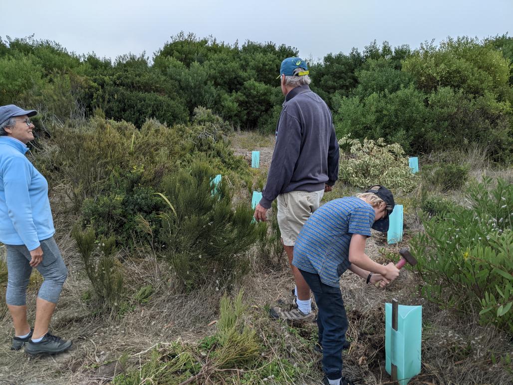 volunteers working