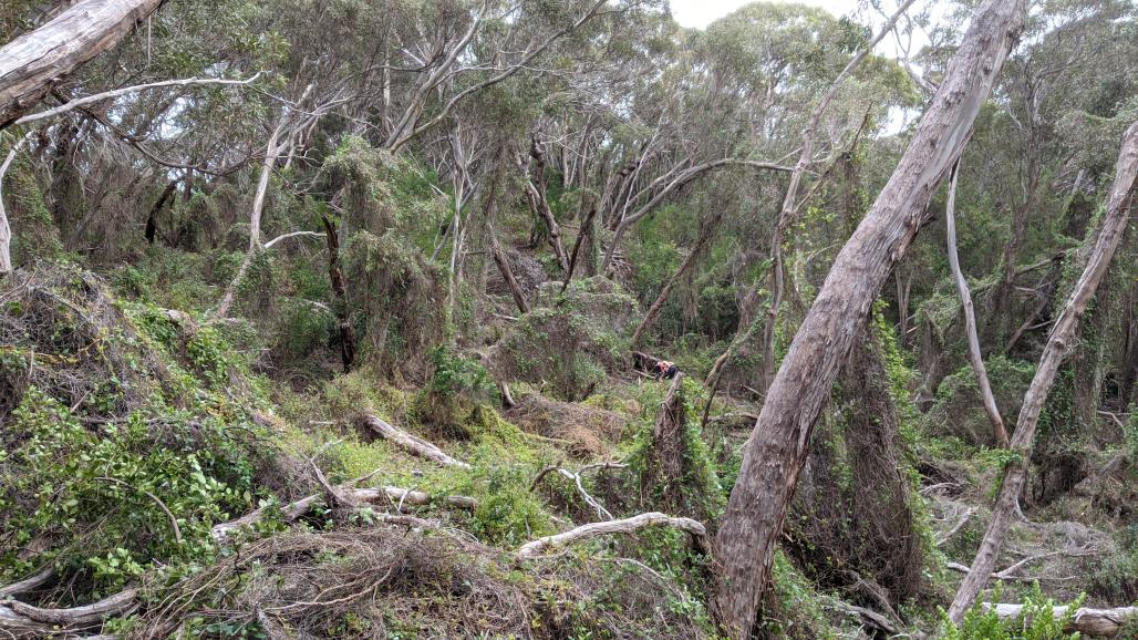 view of part of callen reserve