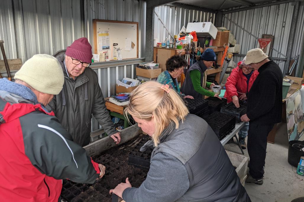 group of volunteers working in the shed