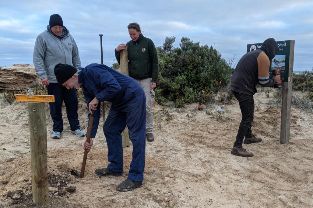 volunteers  at work by the beach