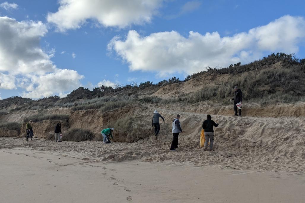 vounteers cleaning beach