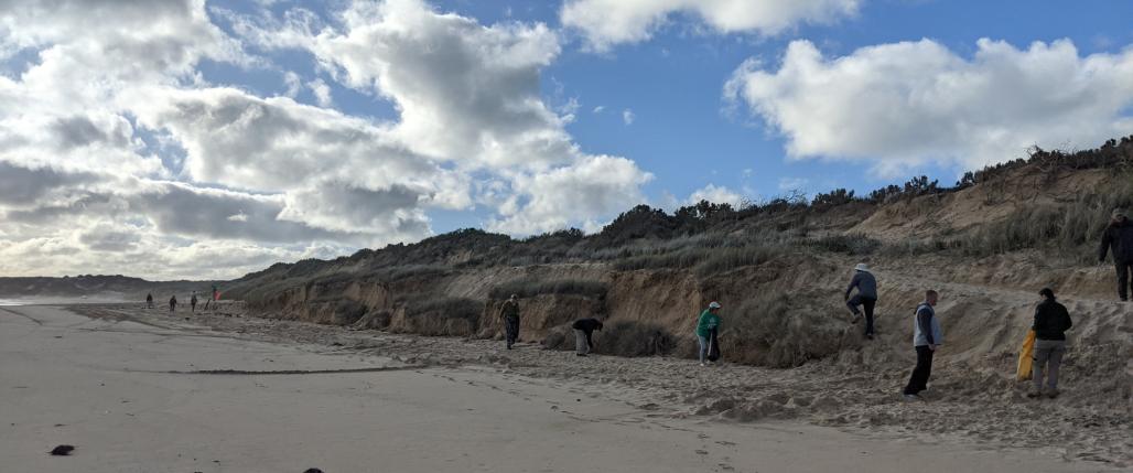 cleaning up the beach