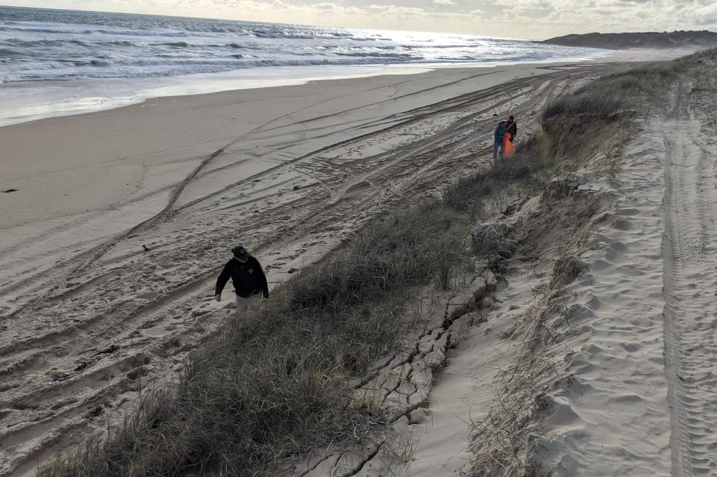 vounteers cleaning beach