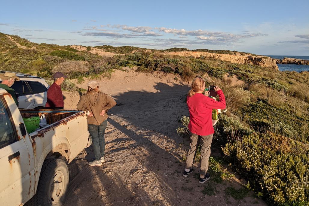 volunteers on the cliff