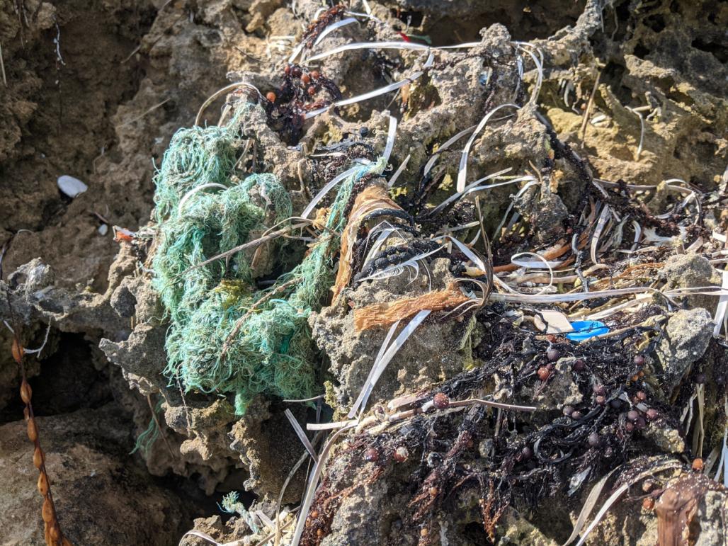 beach trash in the rocks