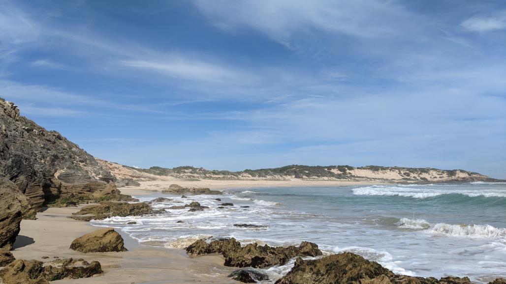 view of beach