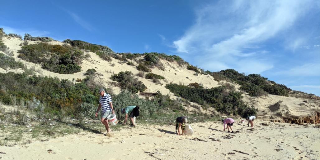 picking up beach trash