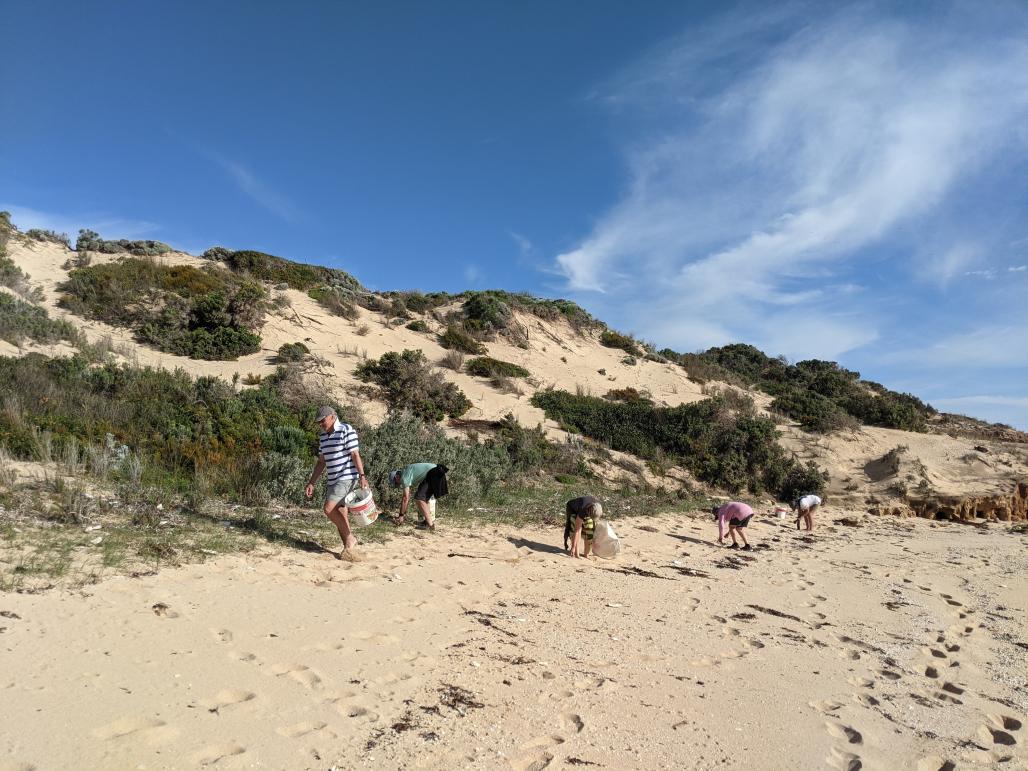 volunteers on beach