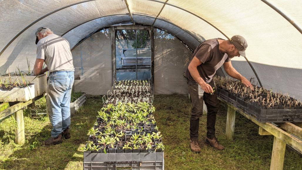 working in the nursery