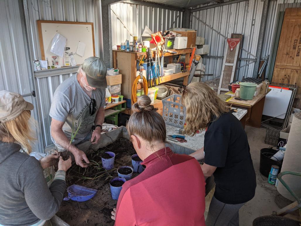 working in the nursery