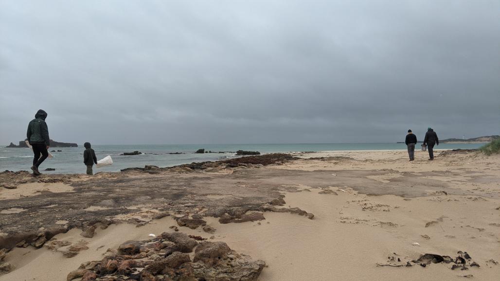 volunteers in a windy rainy beach